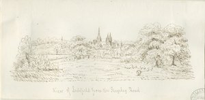 Lichfield - North View (fjern): pentegning, nd [1788-1855] (tegning) af Henry Curzon Allport