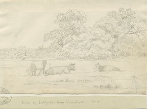 Lichfield - Udsigt fra Aldershaw af Henry Curzon Allport