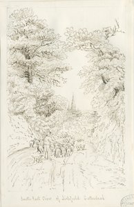 Lichfield Cathedral - South East View (fjern): pentegning, nd [19th cent] (tegning)