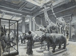 Interior view of the British Museum showing the gallery containing animal exhibits, c.1880dani af Henry Edward Tidmarsh