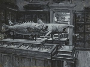 Indvendigt billede af British Museum, der viser galleriet med fiskeudstillinger, ca. 1880 (vask og kropsfarve på papir) af Henry Edward Tidmarsh