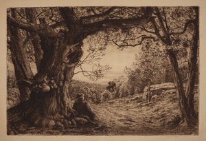  af Henry Farrer