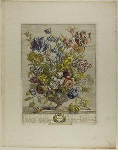 april, fra Tolv måneder med blomster af Henry Fletcher