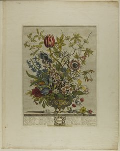 februar, fra Tolv måneder med blomster af Henry Fletcher