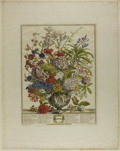 juli, fra Tolv måneder med blomster af Henry Fletcher
