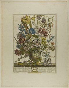 marts, fra Tolv måneder med blomster af Henry Fletcher