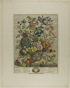 maj, fra Tolv måneder med blomster af Henry Fletcher