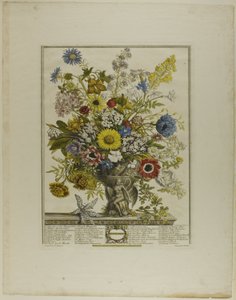 november, fra Tolv måneder med blomster af Henry Fletcher