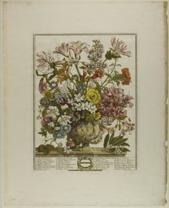 oktober, fra Tolv måneder med blomster af Henry Fletcher