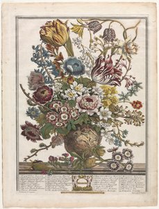 Tolv måneders blomster: marts 1730.