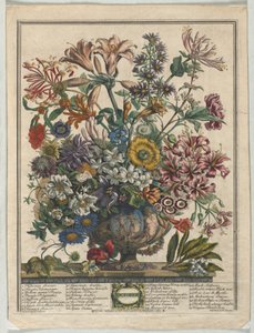 Tolv måneder med blomster:  Oktober af Henry Fletcher
