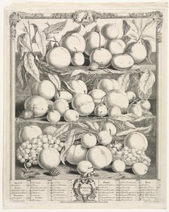 Tolv måneders frugt: august 1732. af Henry Fletcher