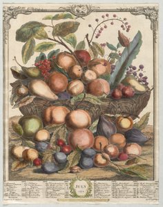 Tolv måneders frugt: juli 1732. af Henry Fletcher