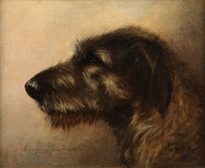 Champion Clodagh af Ouborough, den irske ulvehund af Henry Frederick Lucas Lucas