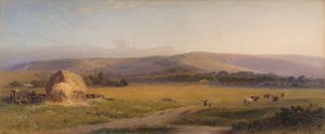South Downs græsgange, 1867