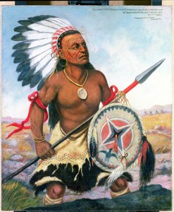 Portræt af Crazy Horse, 1876