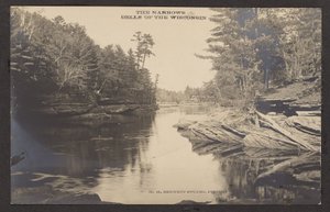 De smalle dale i Wisconsin af Henry Hamilton Bennett