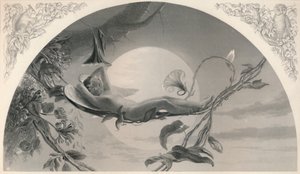 Ariel Stormen, c1870