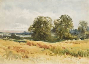 Høstmark, ca. 1910 (akvarel på papir)