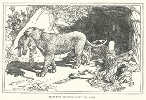 Hvordan løvinden reddede Malchus (litho) af Henry Justice Ford