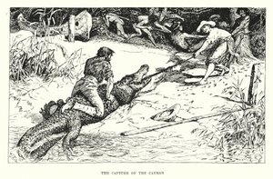 Kapringen af Cayman (gravering) af Henry Justice Ford