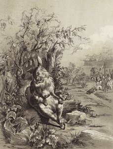 Æsops fabler: Haren og skildpadden (litho)