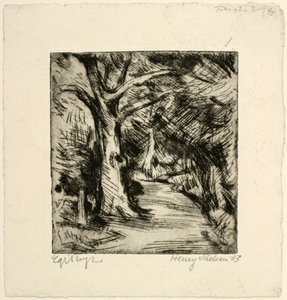 Skovvej. Riis skov af Henry Nielsen