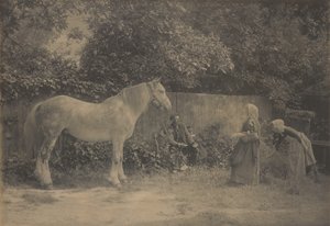 [Old Dapple] af Henry Peach Robinson