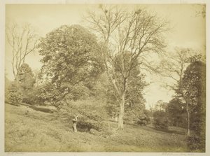 Rook Shooting af Henry Peach Robinson