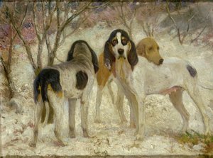 Vrelæ-Old English Stag Hounds