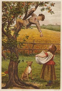 Plukke æbler (farve litho)