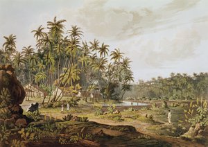 Udsigt nær Point du Galle, Ceylon, indgraveret af Daniel Havell (1785-1826) udgivet i 1809 af Henry Salt