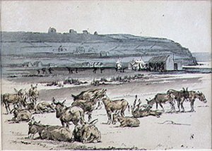 Æsler på golfbanen, illustration fra 