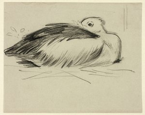 Skitse af rugende stork af Henry Stacy Marks
