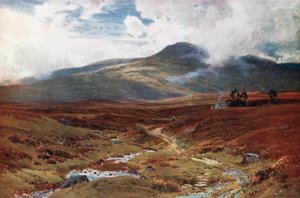 En mose nær Killin, Perthshire (farvelitografi)