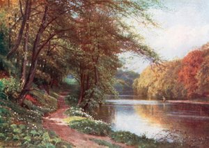Ved floden Ayr, Ayrshire (farvelitografi)