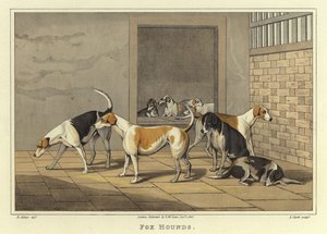 Rævehunde (chromolitho) af Henry Thomas Alken