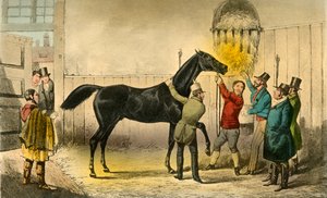 Baronen vil sin våde, 1838 af Henry Thomas Alken