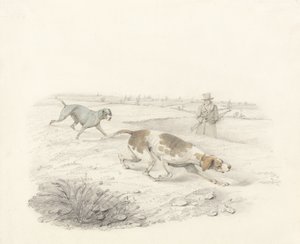 Two Pointers, vendt mod højre med en Sportsman (grafit & wc på papir) af Henry Thomas Alken