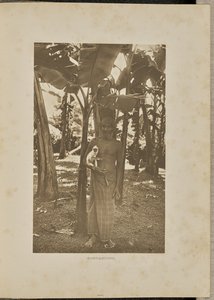 Kammerater af Henry W. Cave
