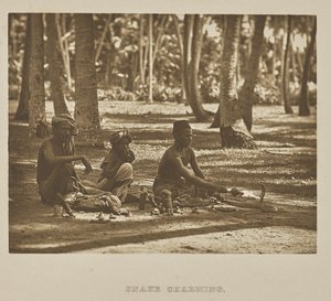 Charmerende slange af Henry W. Cave