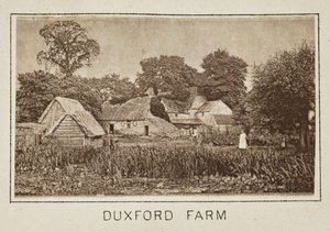 Duxford Farm af Henry W. Taunt