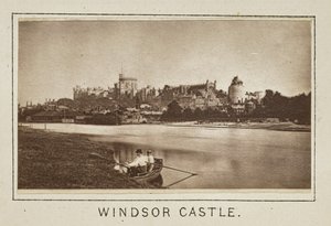 Windsor Slot