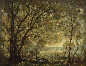 Den lange dam af Henry Ward Ranger