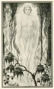 The White Devil af John Webster: The White Devil (litho)