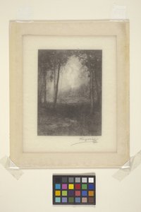 In The Adirondacks (blæk) af Henry Wolf
