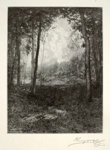 I Adirondacks af Henry Wolf