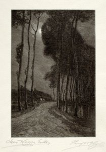 Måneskin i Holland af Henry Wolf