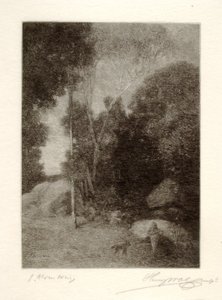 Pan og ulven af Henry Wolf
