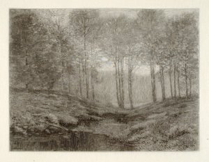 Sommermorgen af Henry Wolf